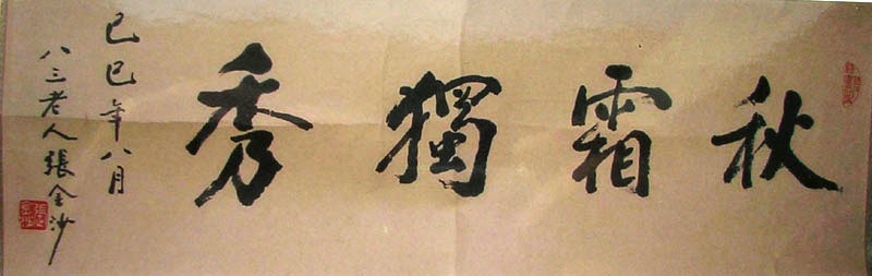 作者：张金沙&nbsp;书法 &nbsp;￥：1000&nbsp;单击鼠标查看大图！