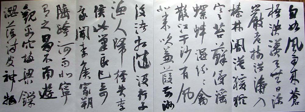 作者：曹宝麟&nbsp;曹宝麟14米册页&nbsp;￥：协商&nbsp;单击鼠标查看大图！