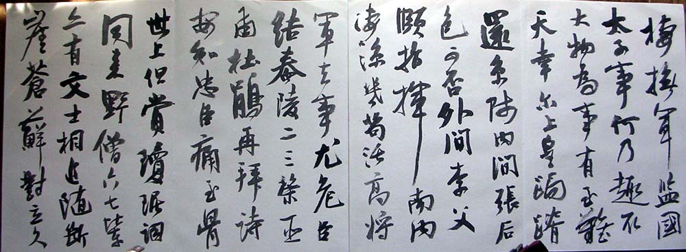 作者：曹宝麟&nbsp;曹宝麟14米册页&nbsp;￥：协商&nbsp;单击鼠标查看大图！