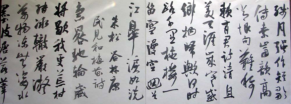 作者：曹宝麟&nbsp;曹宝麟14米册页&nbsp;￥：协商&nbsp;单击鼠标查看大图！