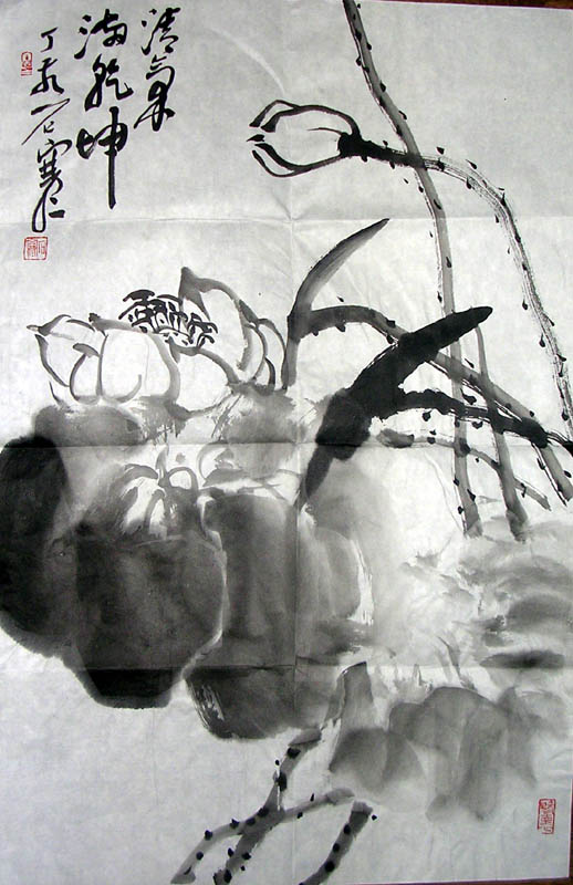 作者：石寒&nbsp;  花鸟&nbsp;￥：协商&nbsp;单击鼠标查看大图！