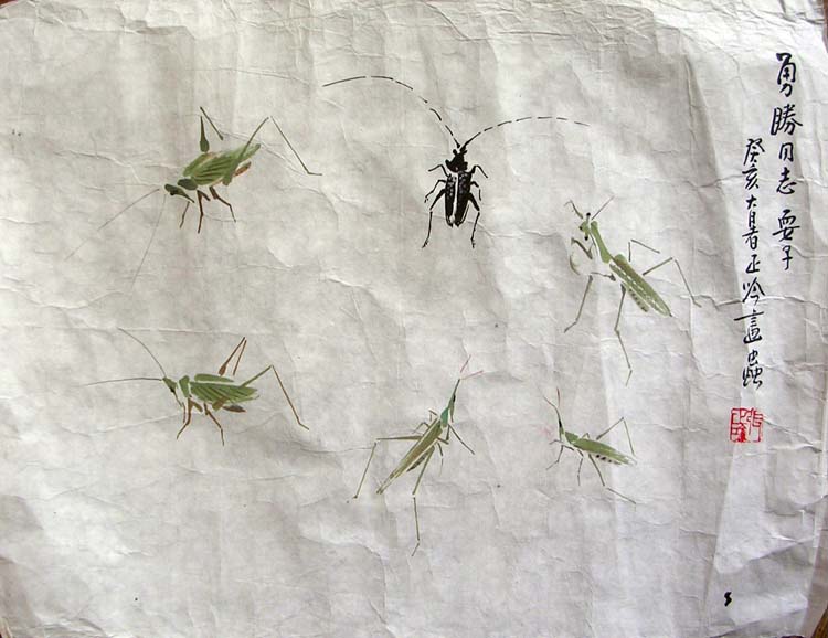 作者：张正吟&nbsp;花鸟&nbsp;￥：协商&nbsp;单击鼠标查看大图！