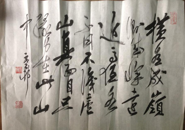 作者：y恽建新&nbsp;书法&nbsp;￥：协商&nbsp;单击鼠标查看大图！