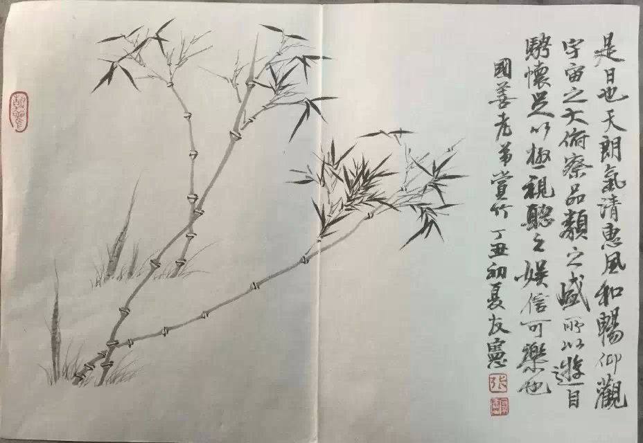 作者：张友宪&nbsp;花鸟&nbsp;￥：协商&nbsp;单击鼠标查看大图！