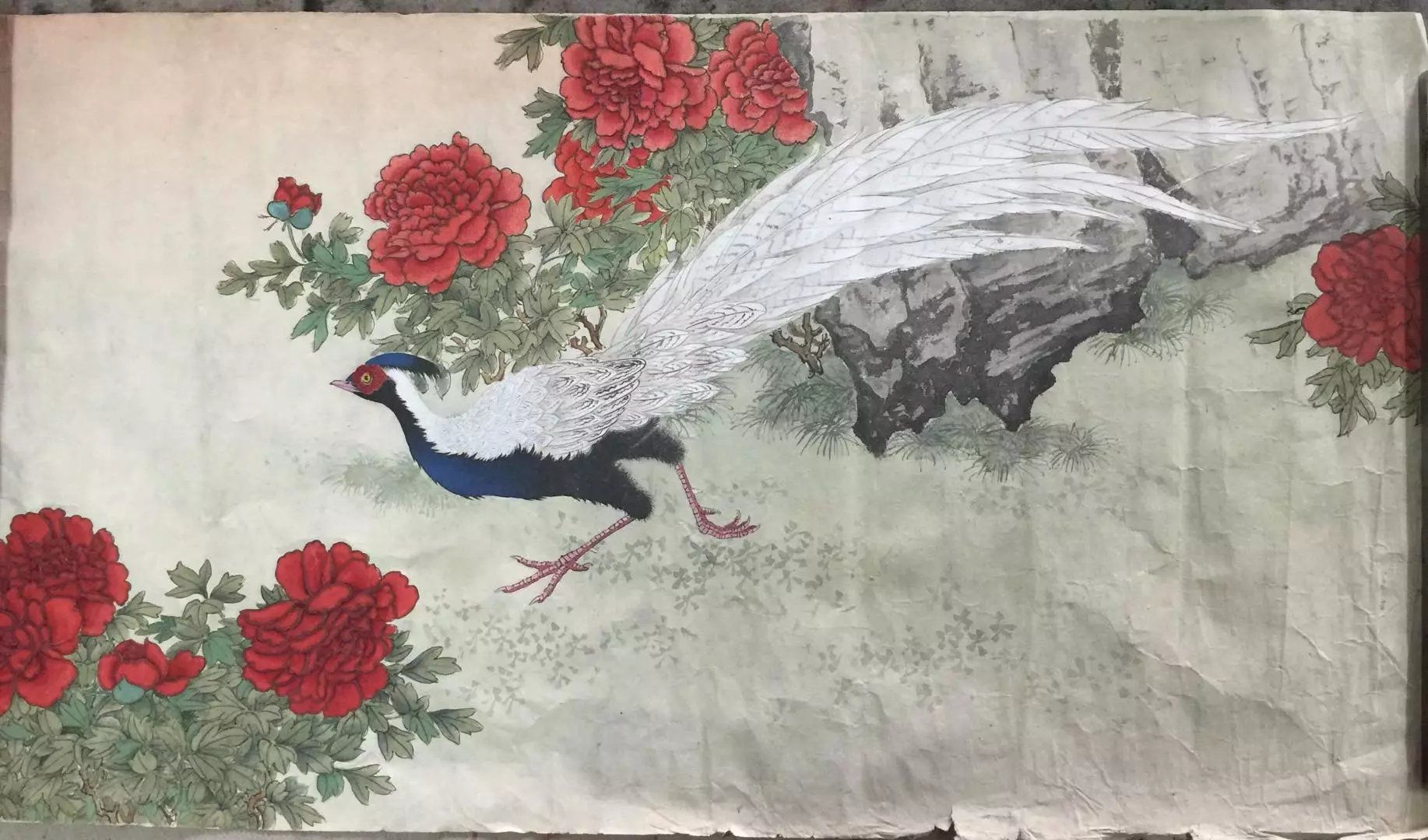 作者：y佚名&nbsp;花鸟&nbsp;￥：协商&nbsp;单击鼠标查看大图！