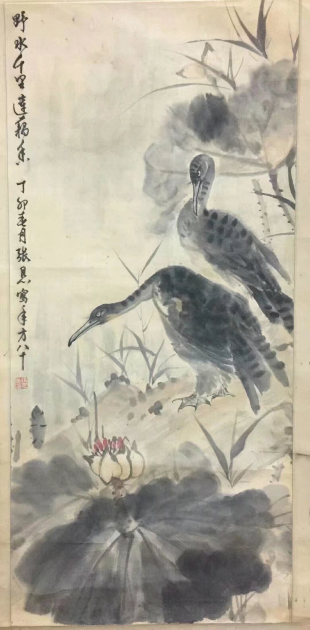 作者：张恳&nbsp;花鸟&nbsp;￥：协商&nbsp;单击鼠标查看大图！