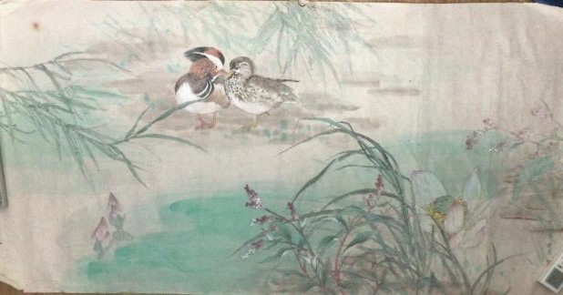 作者：张晓星&nbsp;花鸟&nbsp;￥：协商&nbsp;单击鼠标查看大图！