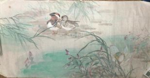 作者：张晓星&nbsp;花鸟&nbsp;￥：协商&nbsp;单击鼠标查看详细介绍！