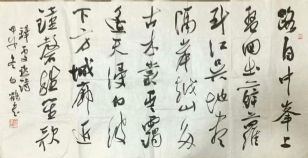 作者：白鹤&nbsp;书法&nbsp;￥：协商&nbsp;单击鼠标查看详细介绍！