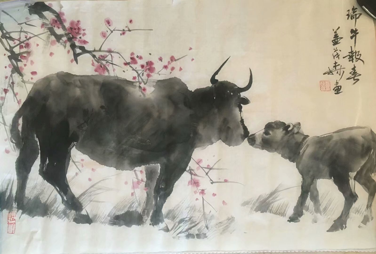 作者：盖茂森&nbsp;花鸟&nbsp;￥：协商&nbsp;单击鼠标查看大图！