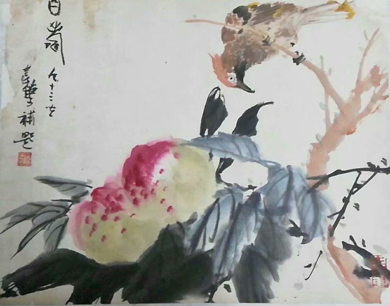 作者：张继馨&nbsp;花鸟&nbsp;￥：协商&nbsp;单击鼠标查看大图！