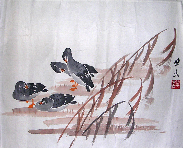 作者：洪煦民&nbsp;花鸟&nbsp;￥：协商&nbsp;单击鼠标查看大图！