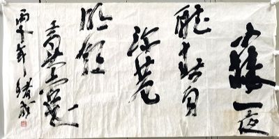 作者：赵绪成&nbsp;书法&nbsp;￥：协商&nbsp;单击鼠标查看详细介绍！