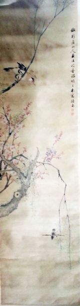 作者：张怀南&nbsp;花鸟  &nbsp;￥：协商&nbsp;单击鼠标查看详细介绍！