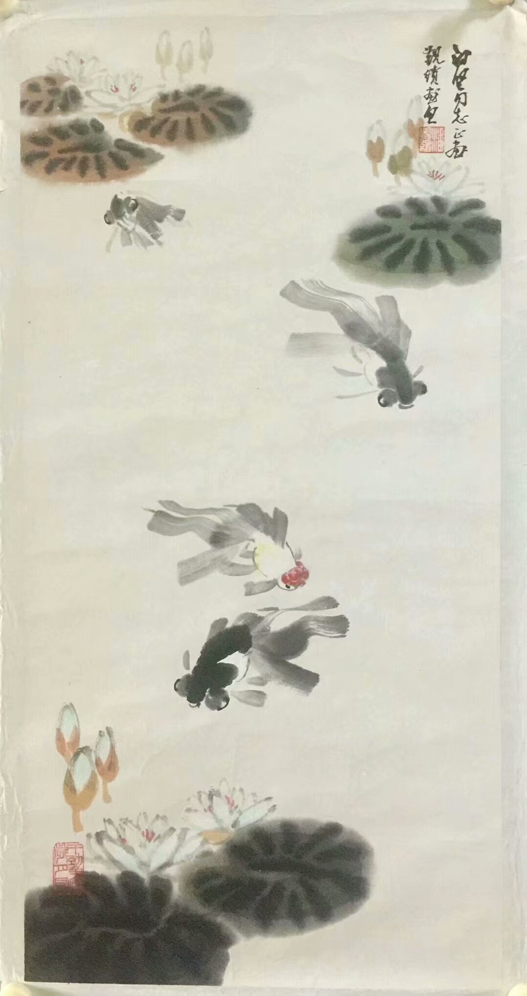 作者：潘觐缋&nbsp;鱼&nbsp;￥：协商&nbsp;单击鼠标查看大图！