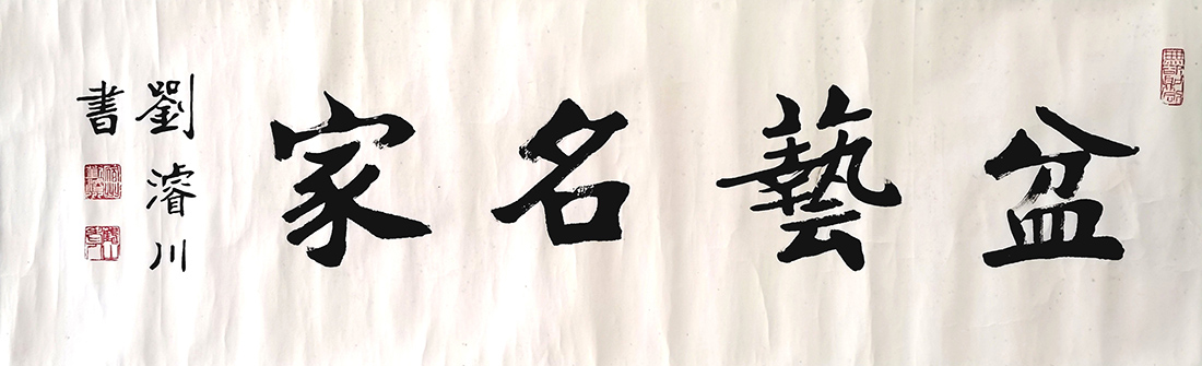 作者：刘浚川&nbsp;盆艺名家&nbsp;￥：协商&nbsp;单击鼠标查看大图！