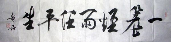 ߣ 鷨  Э 鿴ϸܣ
