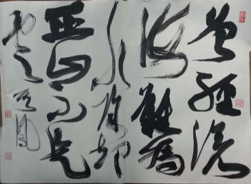 ߣ 鷨 Э 鿴ϸܣ