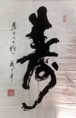 ߣ 鷨 Э 鿴ϸܣ