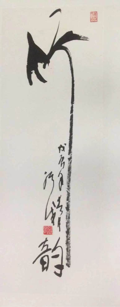 ߣ 鷨 Э 鿴ͼ