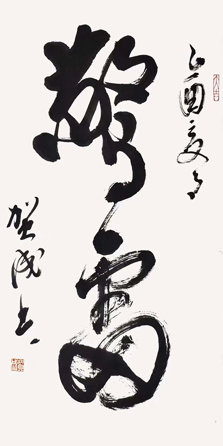 ߣس 鷨 Э 鿴ͼ