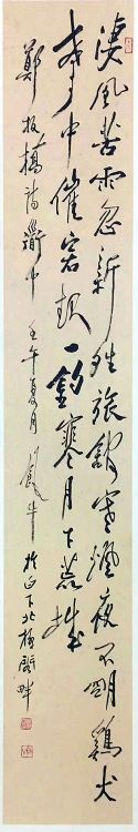 鷨