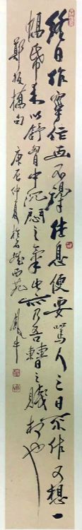 鷨